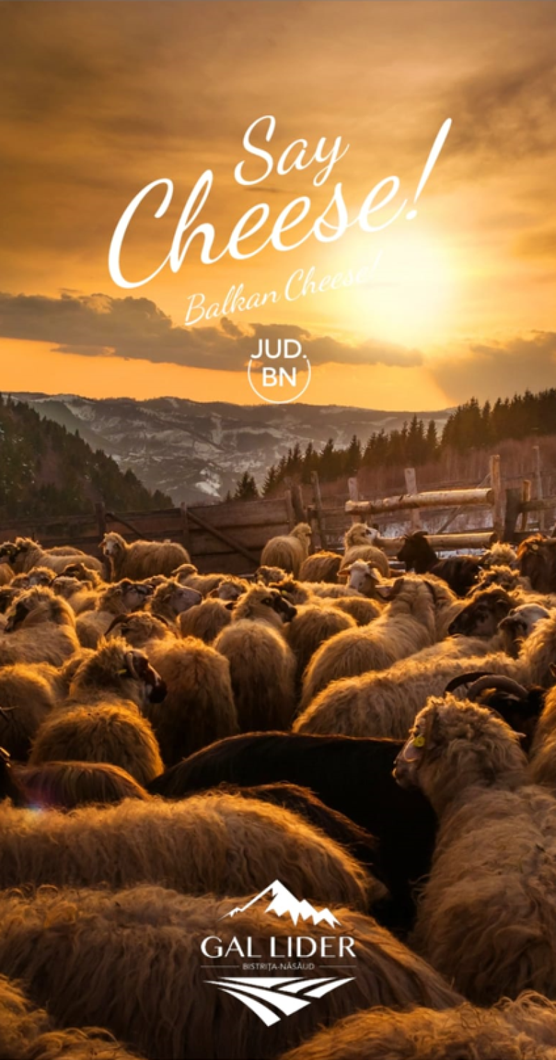 Say Cheese - Aplicatie Android si iOS promovare produse traditionale